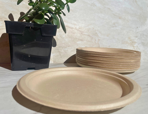 WS* Eco Friendly Plate 9" & 11" - Soil Compostable
